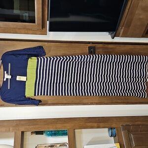 Max Studio Navy and Lime Striped Long Sleeve Dress